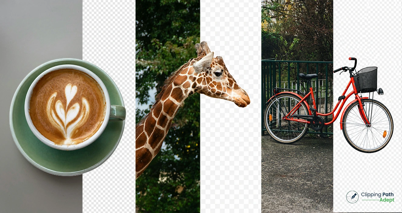 Types of Clipping Path